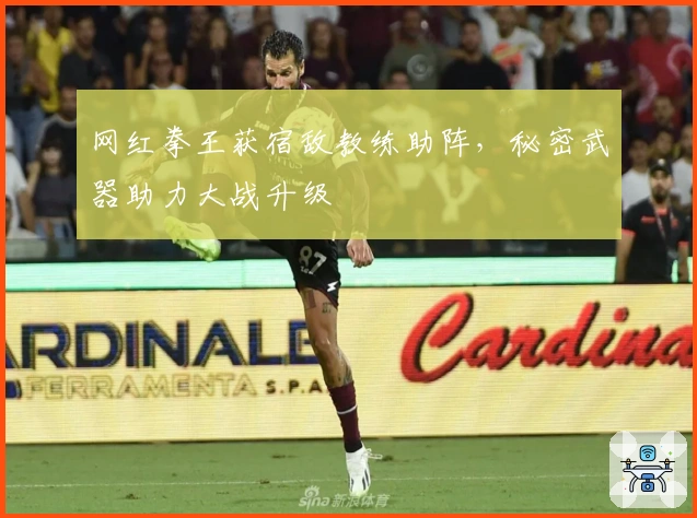 网红拳王获宿敌教练助阵,秘密武器助力大战升级